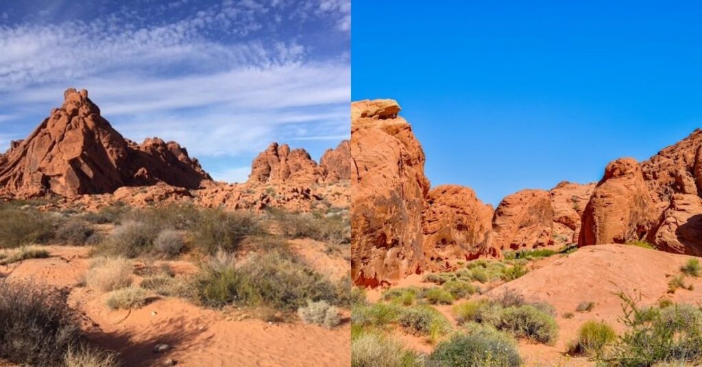 Things to do in Overton Mouse's Tank