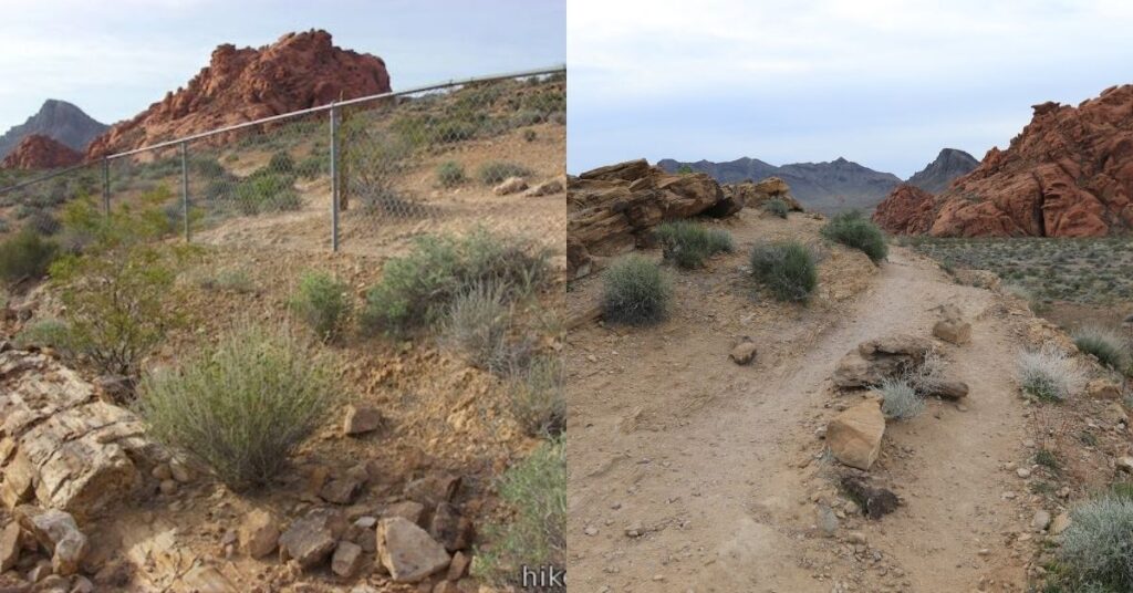 Things to do in Overton Petrified Log Loop Trail