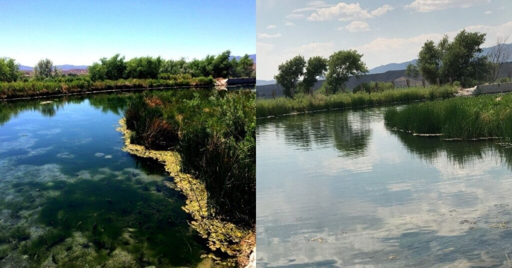 Things to do in Panaca at Panaca Warm Springs