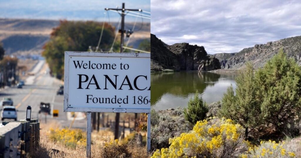 Things to do in Panaca at local community events