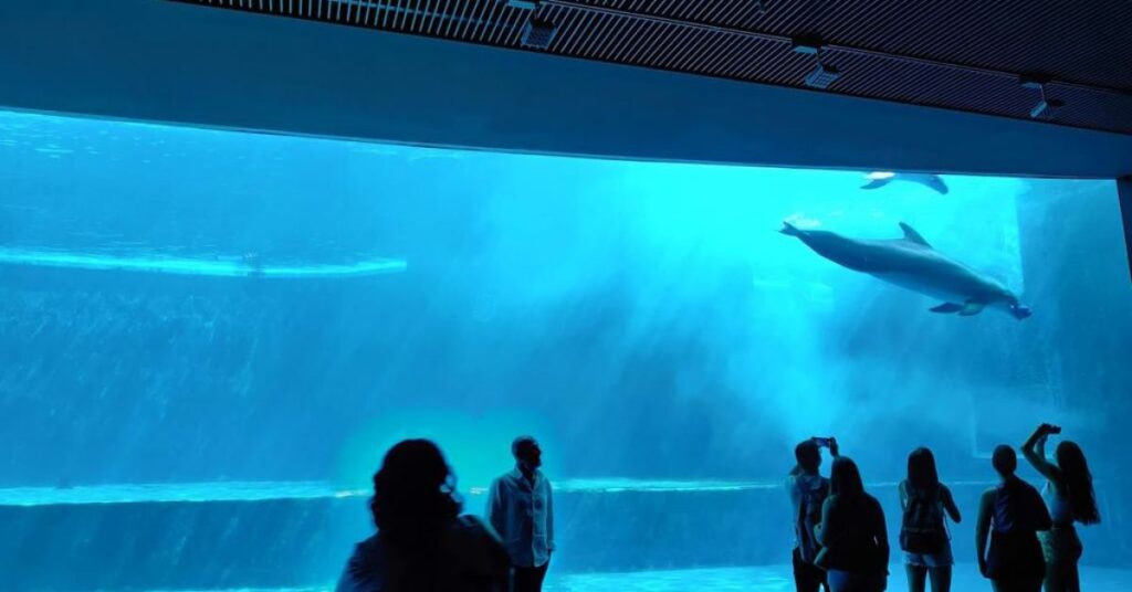 Things to do in Genoa Aquarium