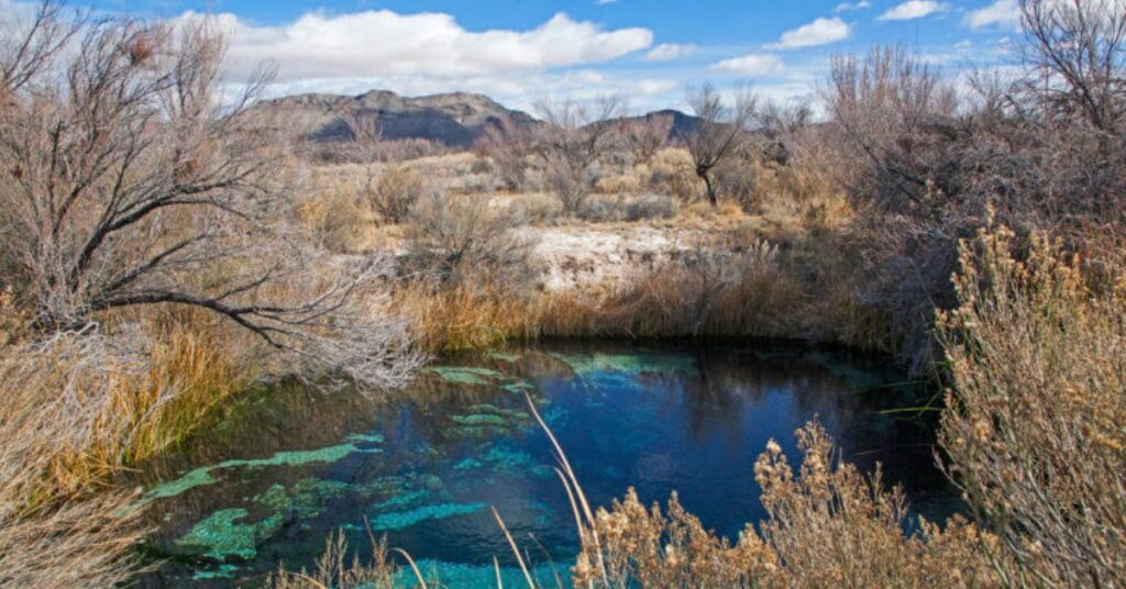 Things to do in Amargosa Valley Ash Meadows National Wildlife Refuge 