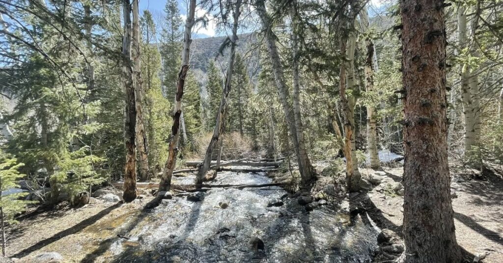 Things to Do in Baker Creek Loop Trail