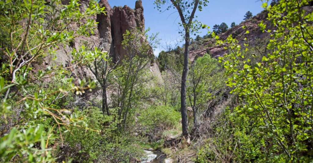 Things to Do in Caliente Beaver Dam State Park