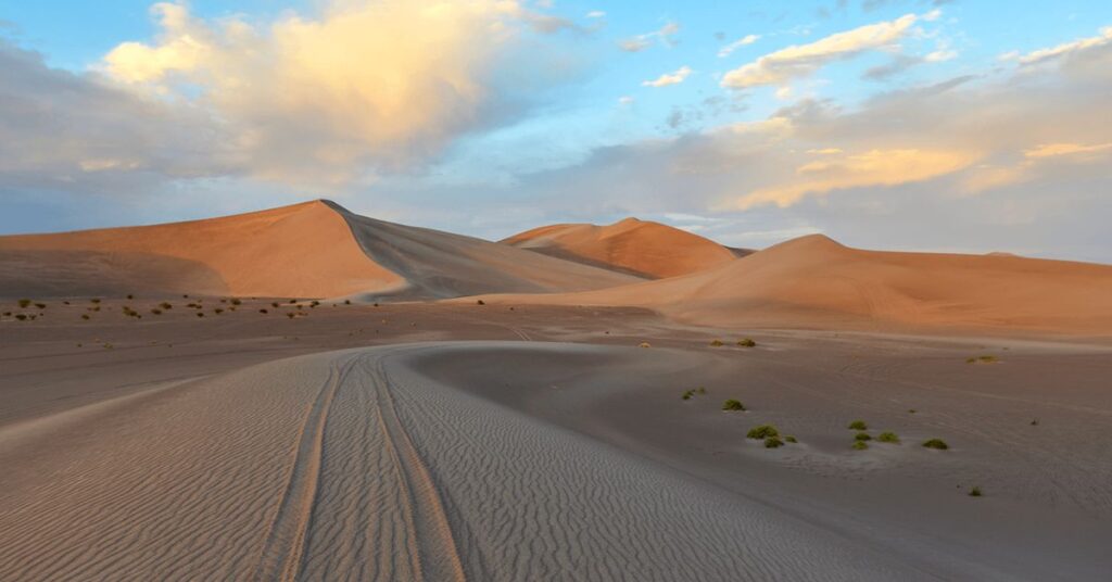 Things to do in Amargosa Valley Big Dune