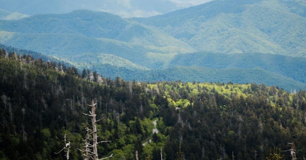 Things to do in Round Mountain Big Smoky Valley Scenic Drive