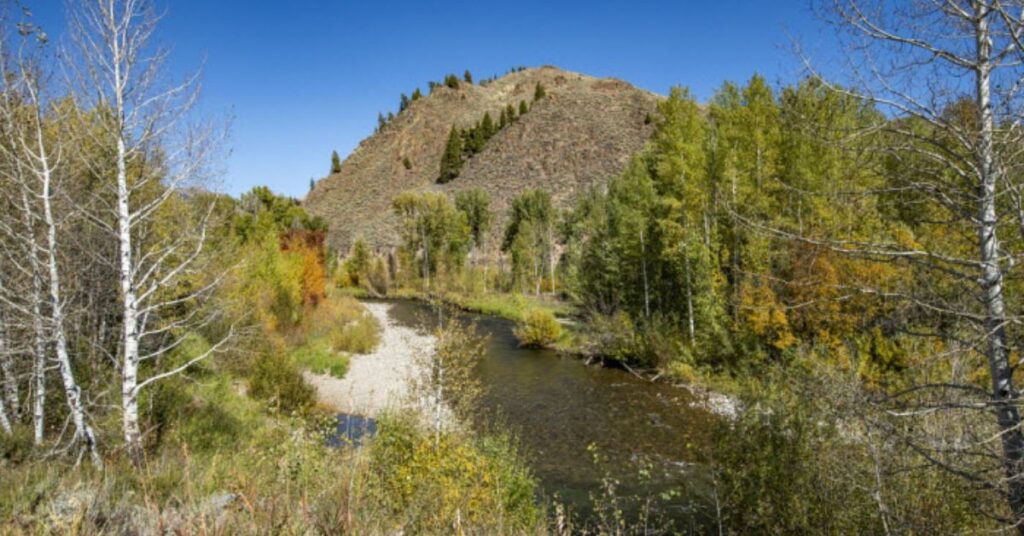 Things to Do in Sun Valley Big Wood River 