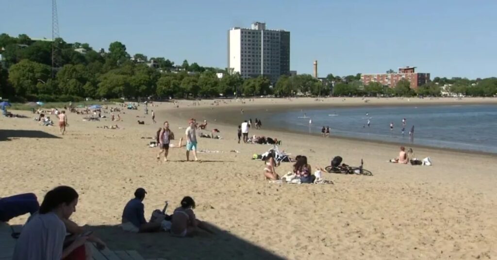 Things to Do in Carson City Beach