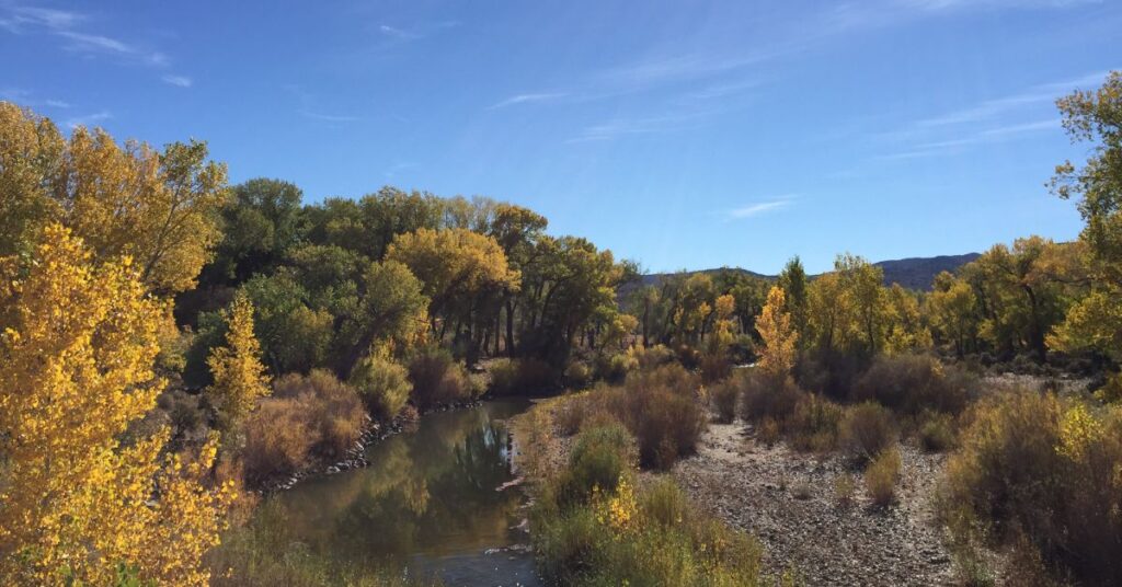 Things to Do in Lahontan Carson River