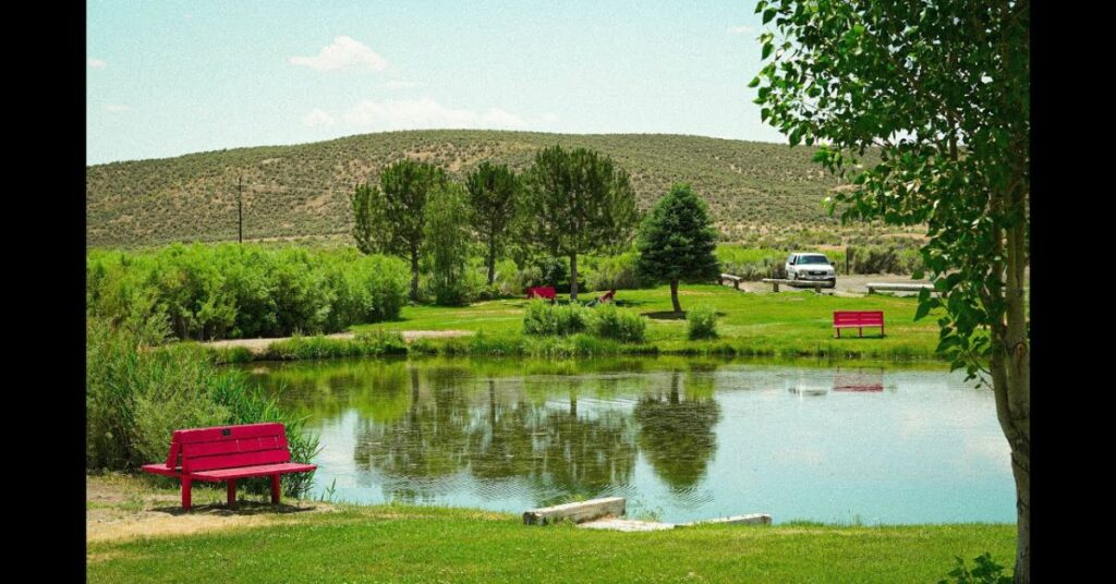 Things to Do in Carlin Chinese Gardens