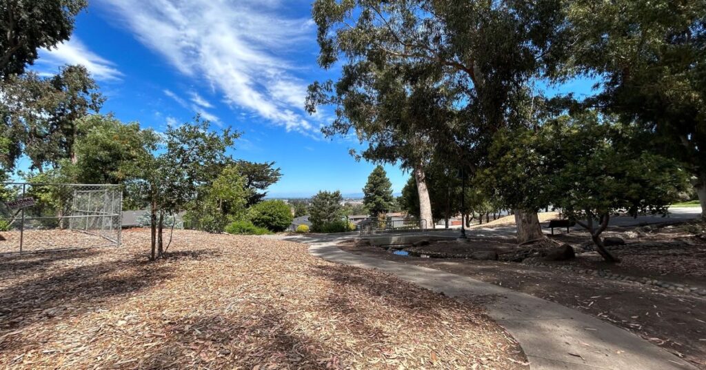 Things to Do in Indian Springs Community Park