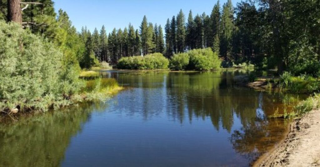 Things to Do in Washoe Valley Davis Creek Regional Park