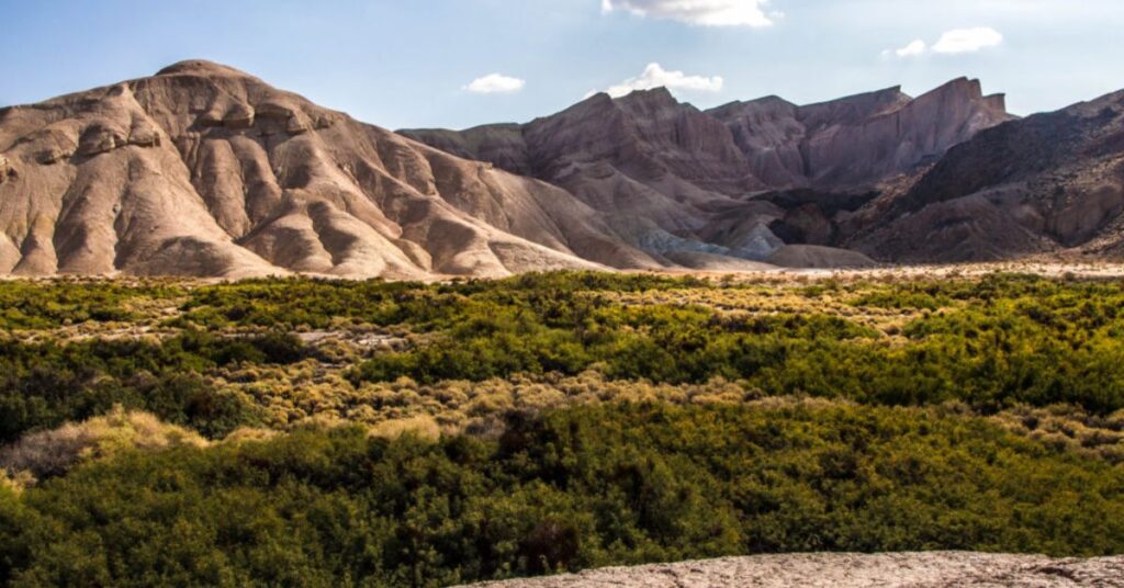 Things to do in Amargosa Valley Desert Trails