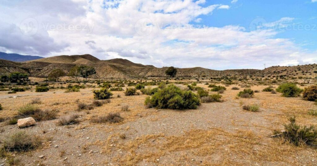 Things to Do in Indian Springs Desert View Scenic Area