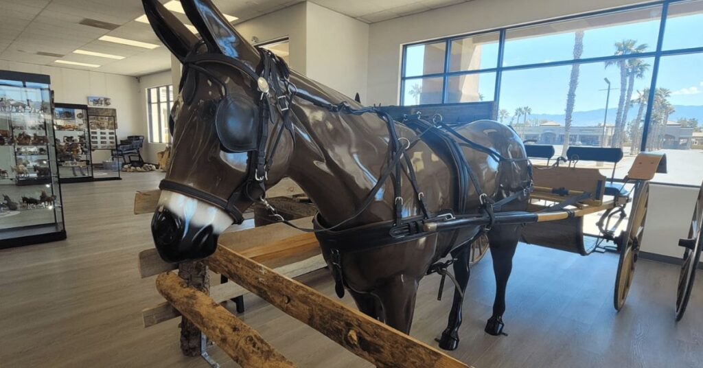 Things to Do in Mesquite Donkey History Museum 