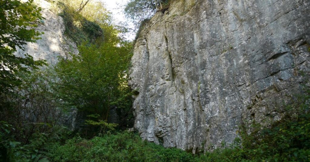 Things to do in Wells Ebbor Gorge