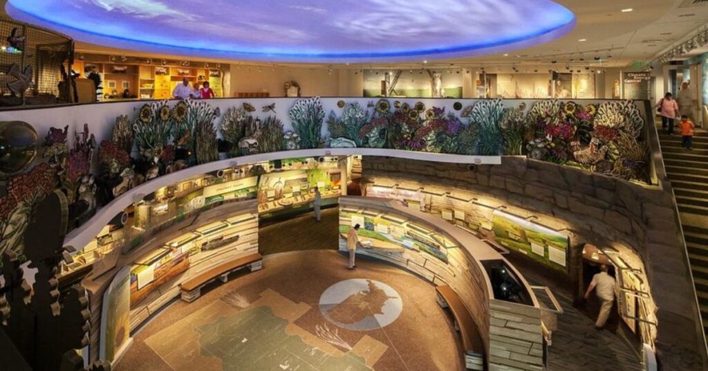 Things to do in Manhattan Flint Hills Discovery Center 