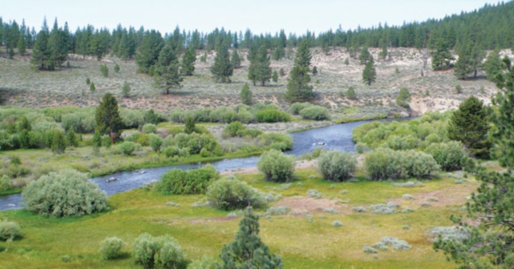 Things to Do in Verdi Henness Pass Road Scenic Route