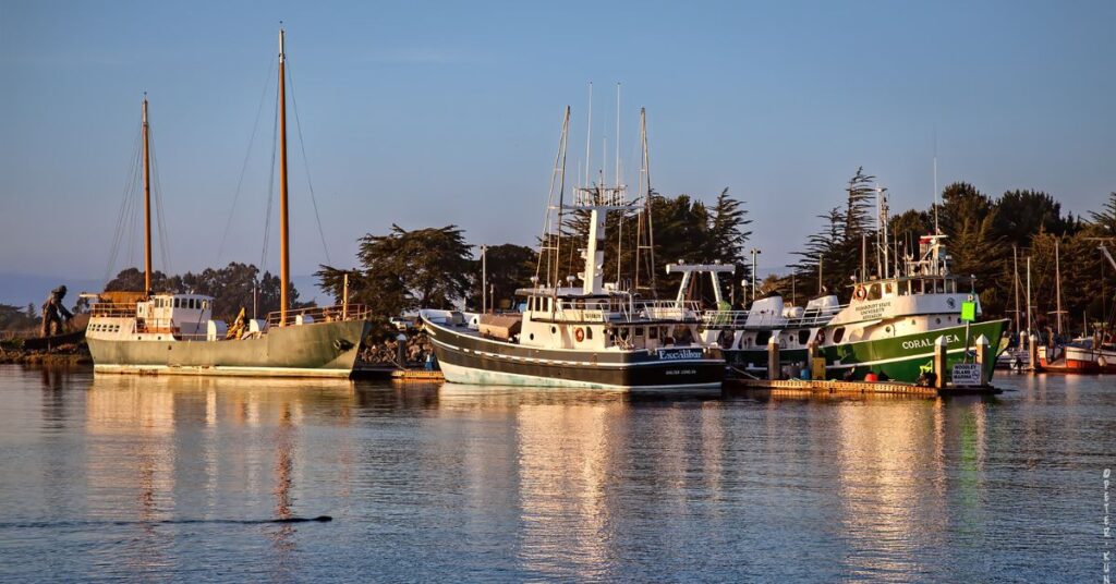 Things to do in Eureka Humboldt Bay Waterfront 