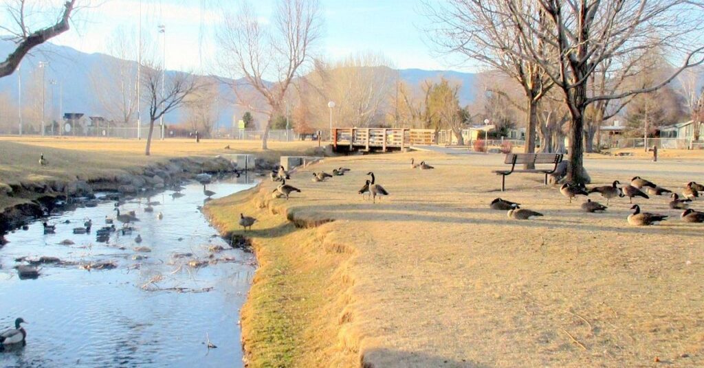 Things to do in Gardnerville Lampe Park County Park 