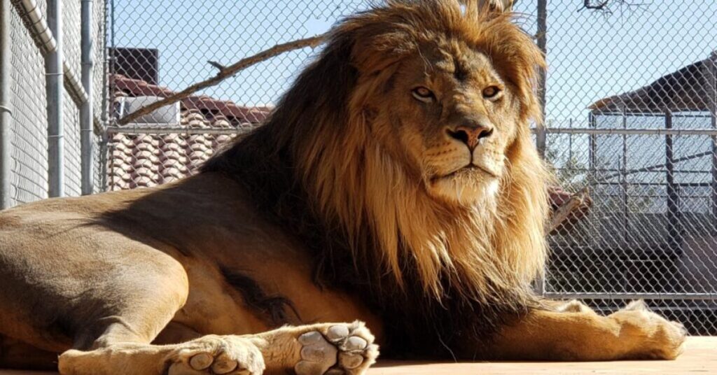 Things to Do in Henderson Habitat Ranch