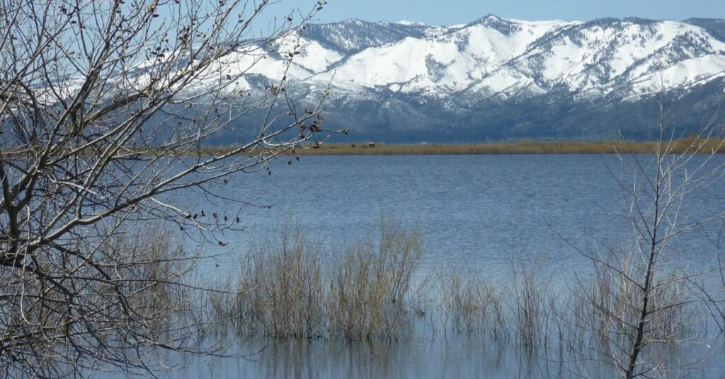 Things to Do in Washoe Valley Little Washoe Lake