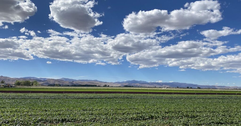 Things to Do in Winnemucca Mason Valley Overview