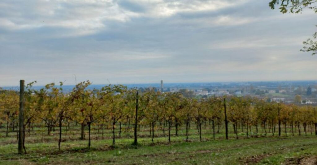 Things to do in MontelloNature Trails