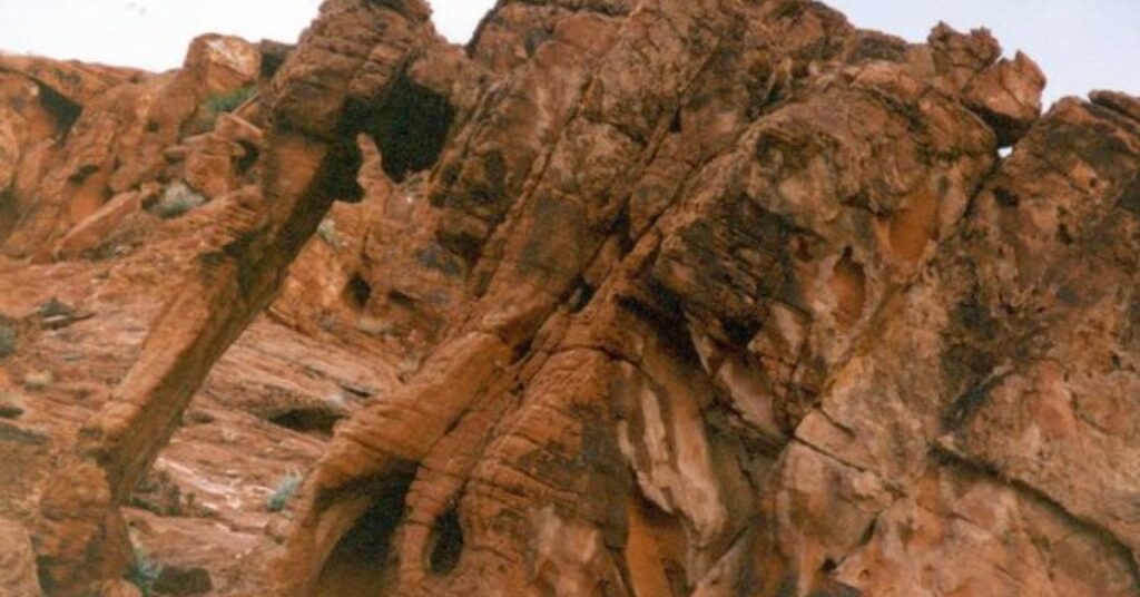 Things to do in Overton Mouse's Tank