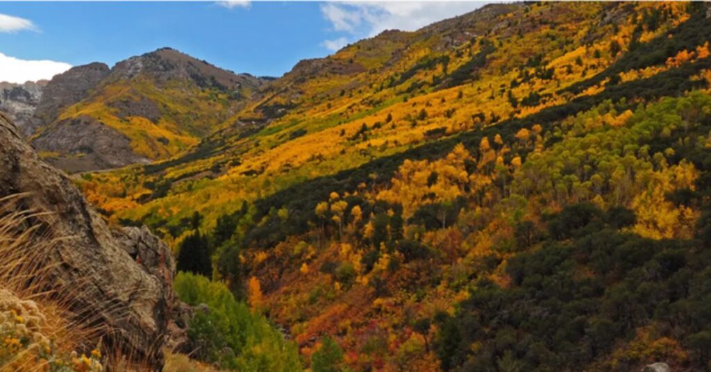 Things to do in Orovada Open Land Views