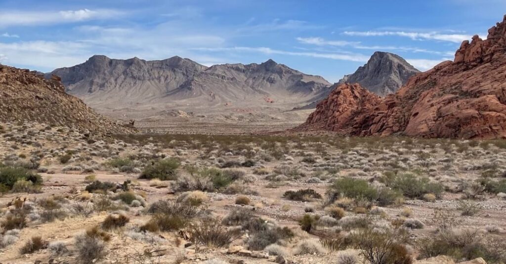 Things to do in Overton Petrified Log Loop Trail