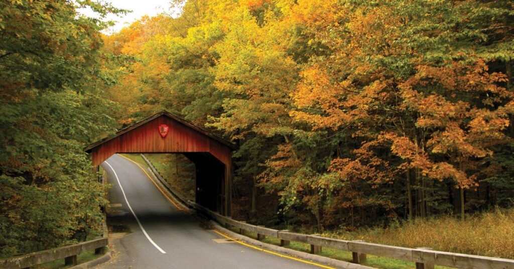 Things to Do in Empire Pierce Stocking Scenic Drive