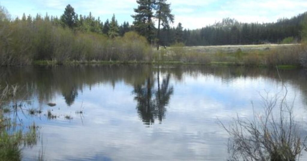 Things to do in Stateline Rabe Meadows