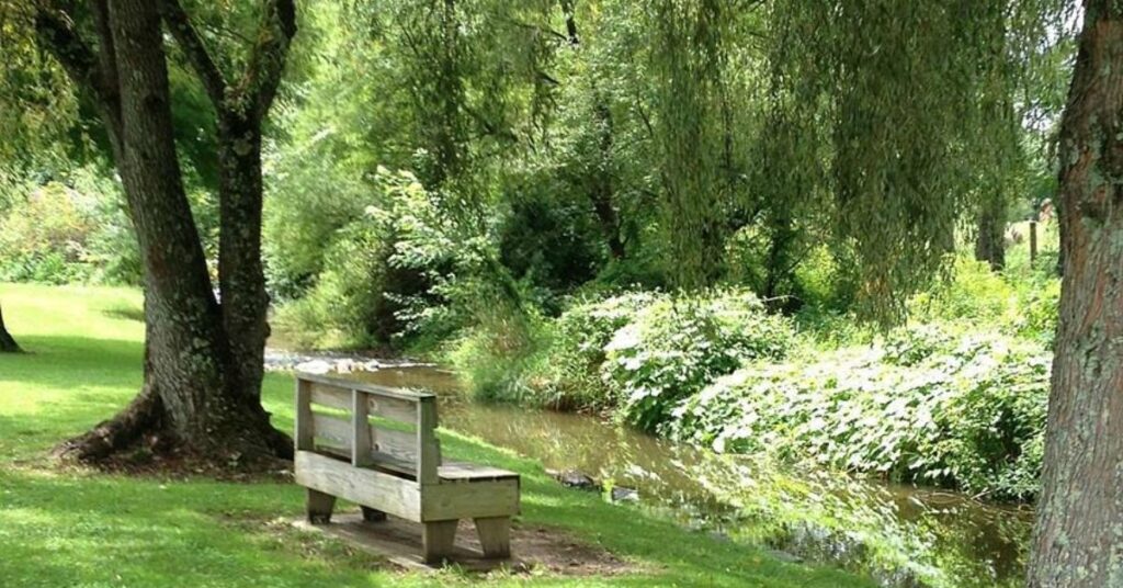 Things to do in Mountain City Ralph Stout Park