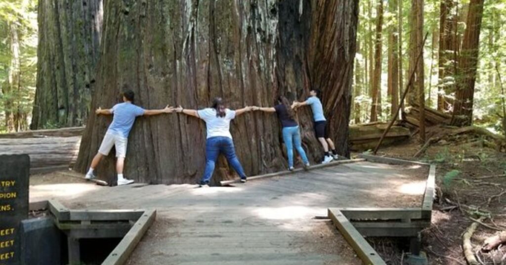 Things to do in Eureka Redwood Highway