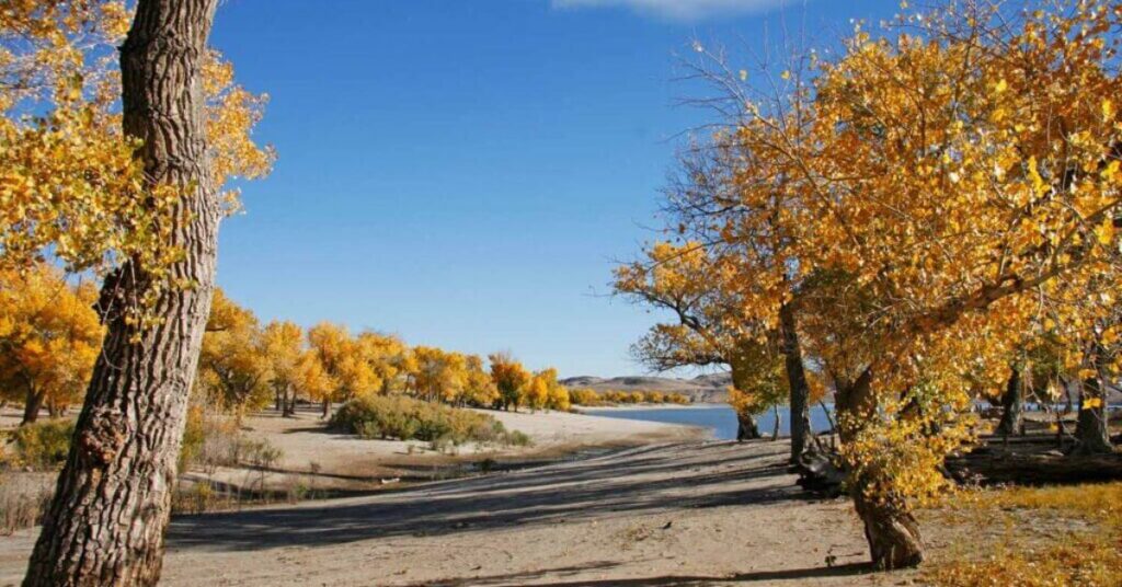 Things to Do in Lahontan Reservoir Recreation Area