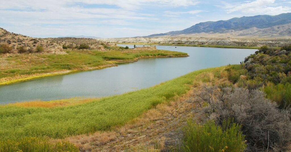 Things to Do in Lovelock Rye Patch State Recreation Area 