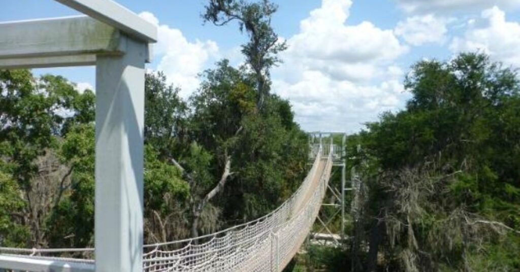 Things to do in Alamo Santa Ana National Wildlife Refuge