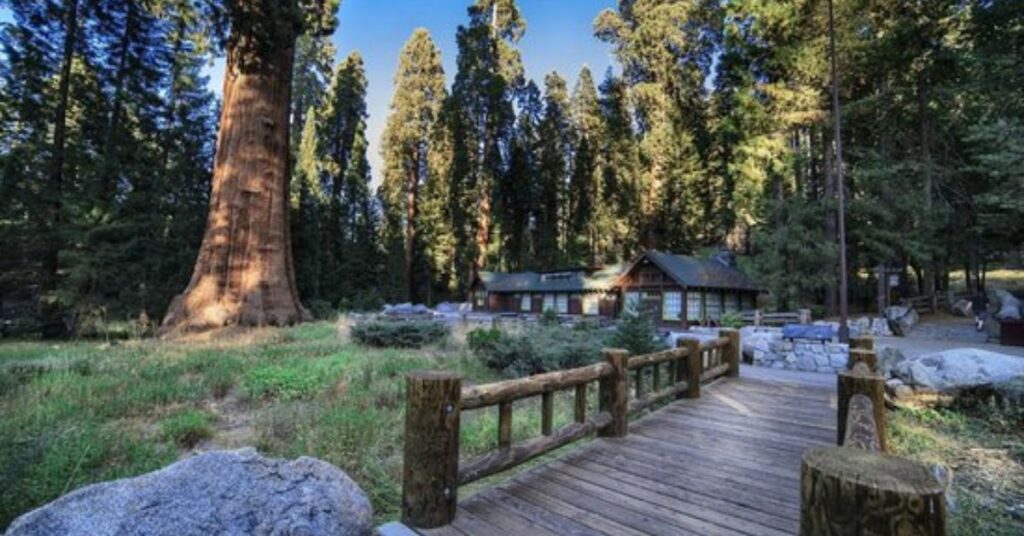 Things to do in Eureka Sequoia Park 