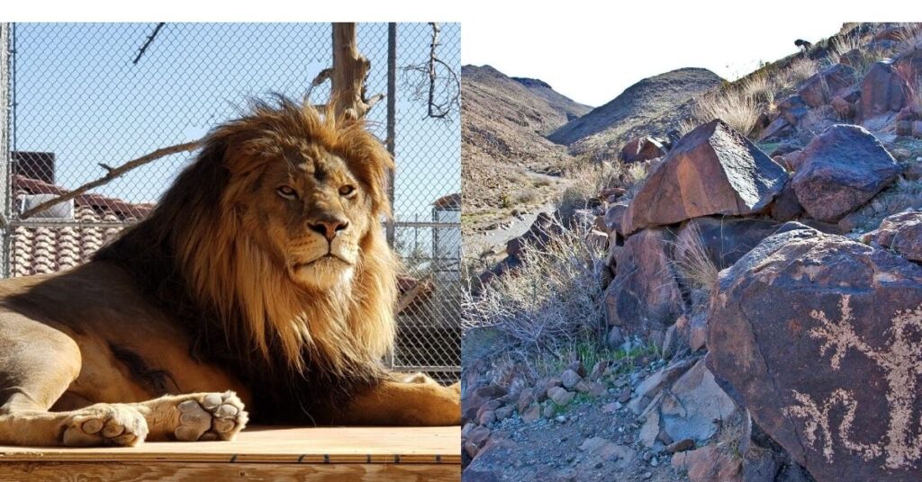 Things to Do in Henderson Clark County Heritage Museum