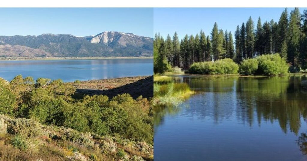 Things to Do in Washoe Valley Lake State Park and