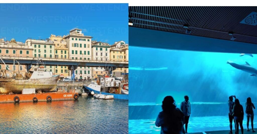 Things to do in Cal Nev Ari Blue Sky Motel