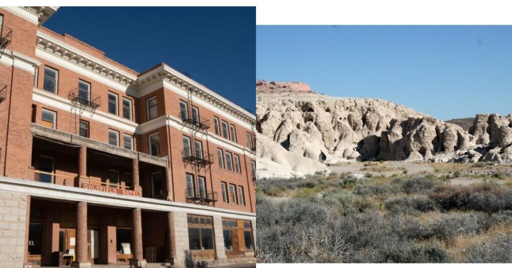 Things to do in Goldfield International Car Forest of The Last Church