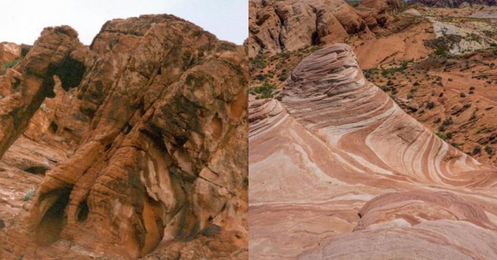 Things to do in Overton Mouse's Tank