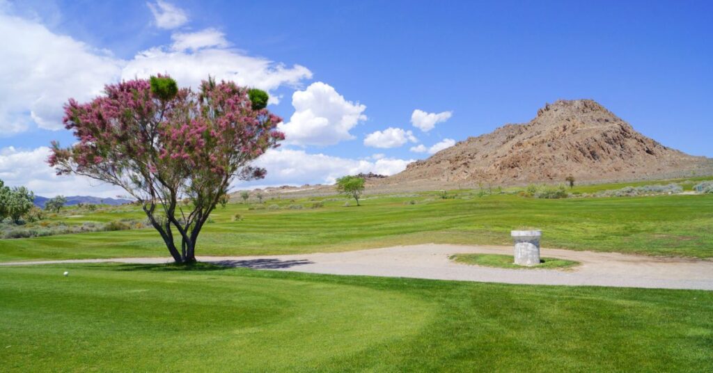 Things to Do in West Wendover Toana Vista Golf Course