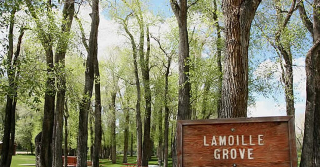 Things to do in Lamoille Town Park