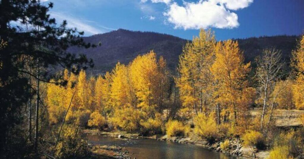 Things to Do in Sparks Truckee River Greenbelt Trails
