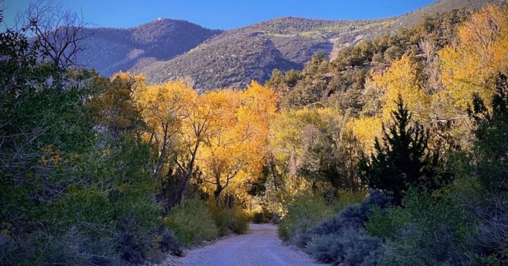 Snake Creek Road Baker Nevada showing a quiet scenic roadway following natural terrain with open landscape views