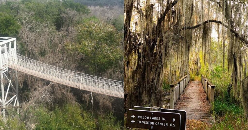 Things to do in Alamo highlighting Santa Ana National Wildlife Refuge near Alamo Texas

