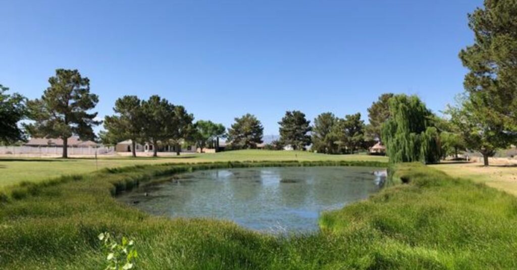Things to do in Pahrump Lake View Executive Golf Course